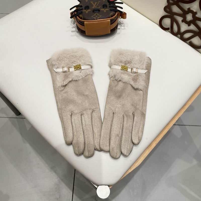 Dior gloves 47 (8)