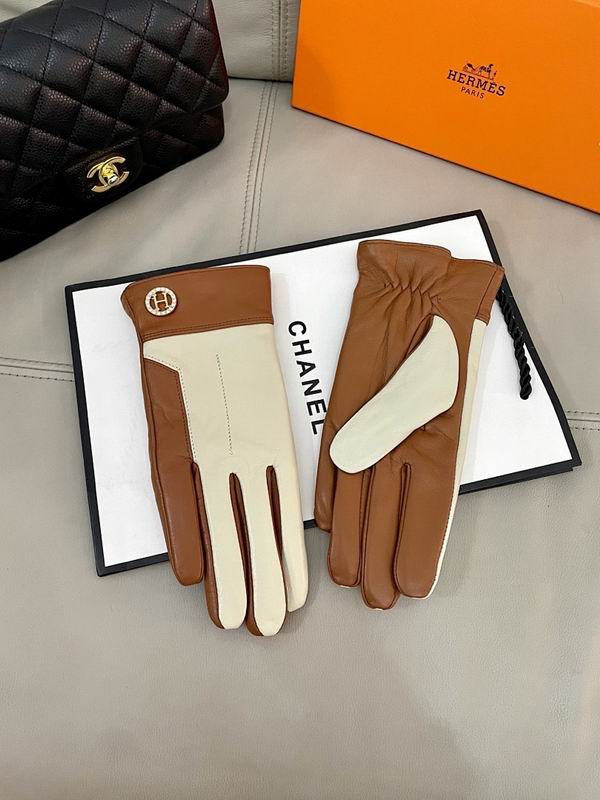 Hermes Gloves hm (17)