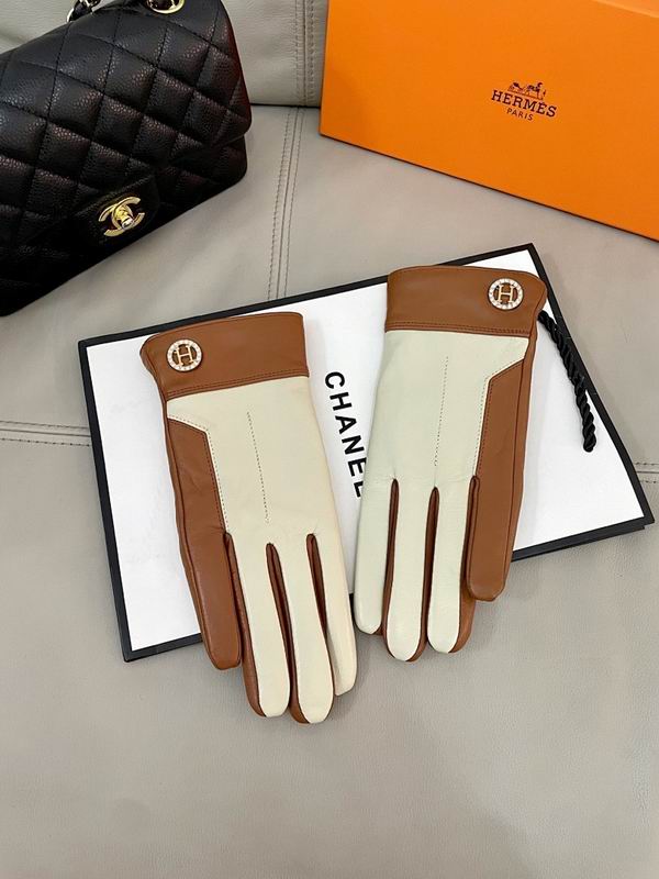 Hermes Gloves hm (18)