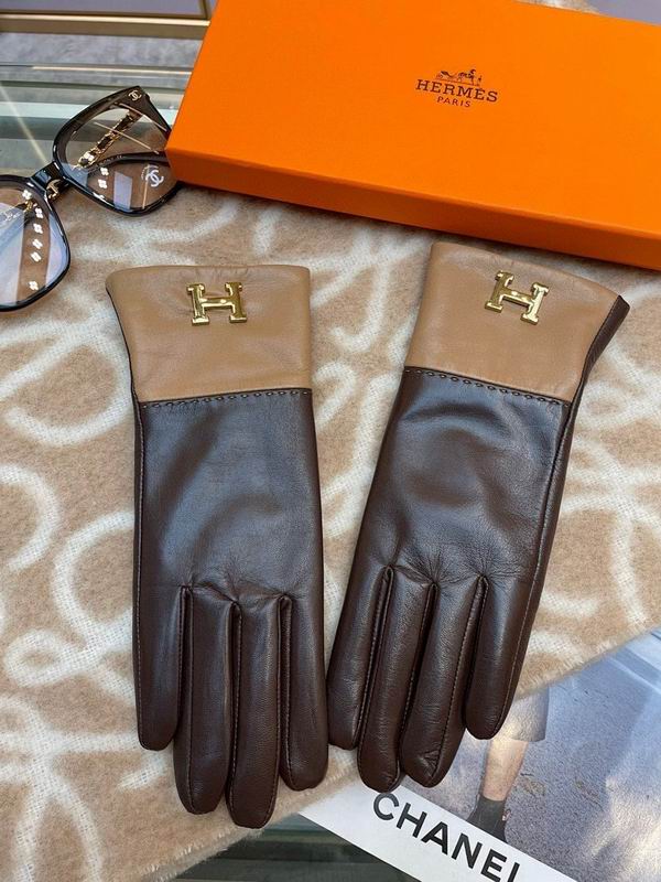 Hermes Gloves hm (35)