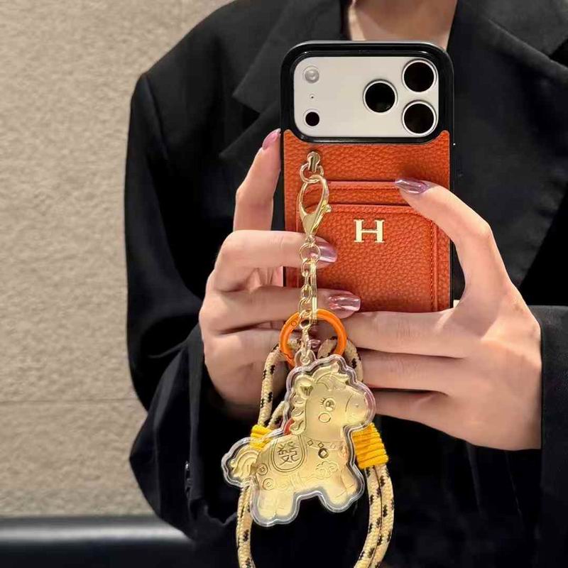 Hermes iPhone 6-17pro max 09 (4)