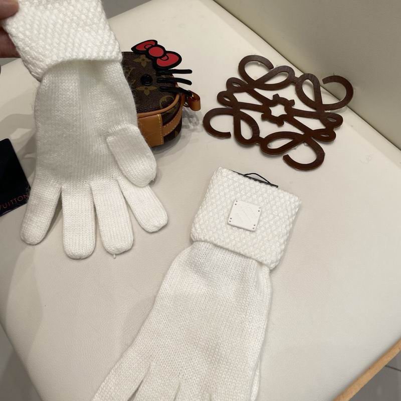 LV Gloves 21 (6)