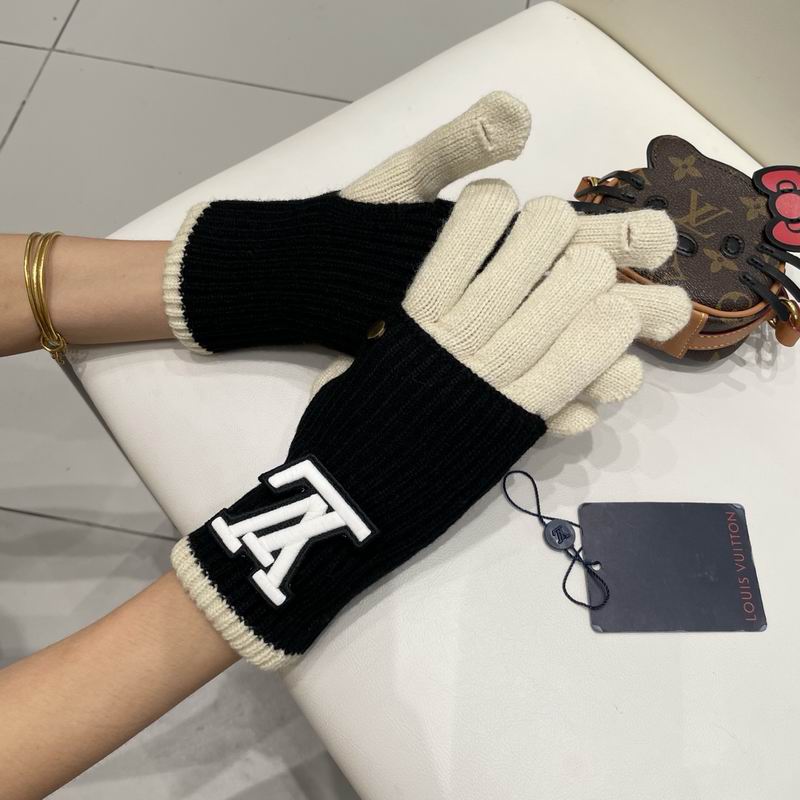 LV Gloves 24 (20)