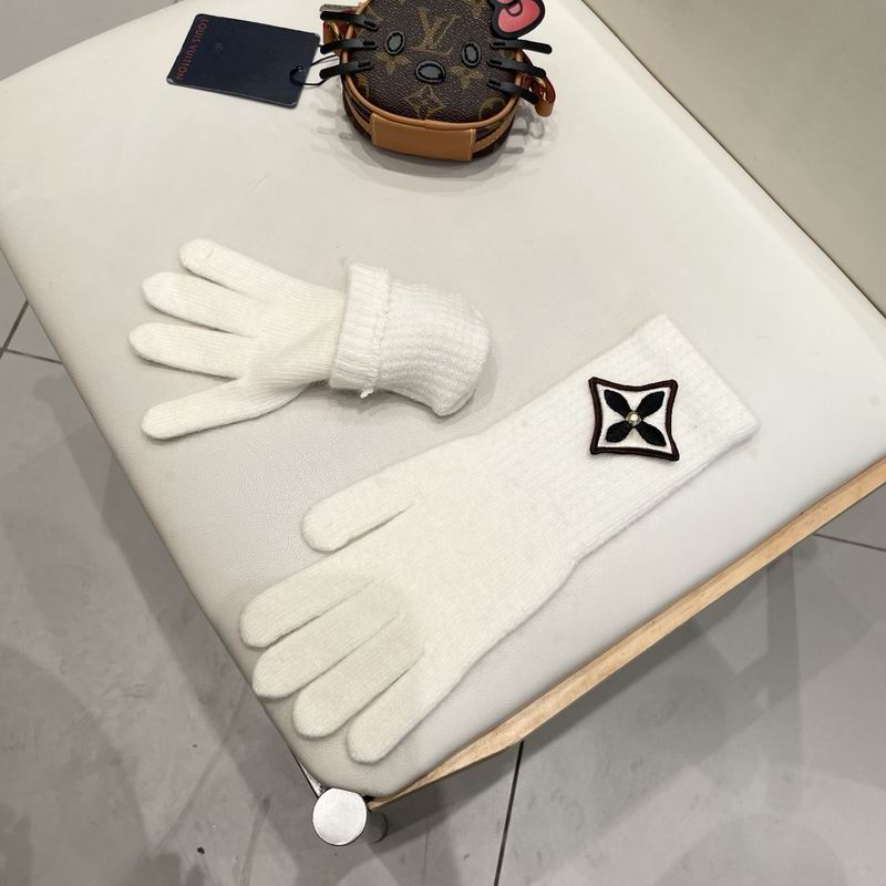 LV Gloves 68 (25)