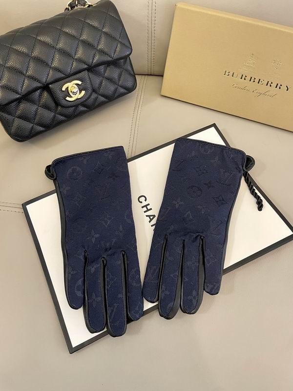 LV Gloves 73 (8)