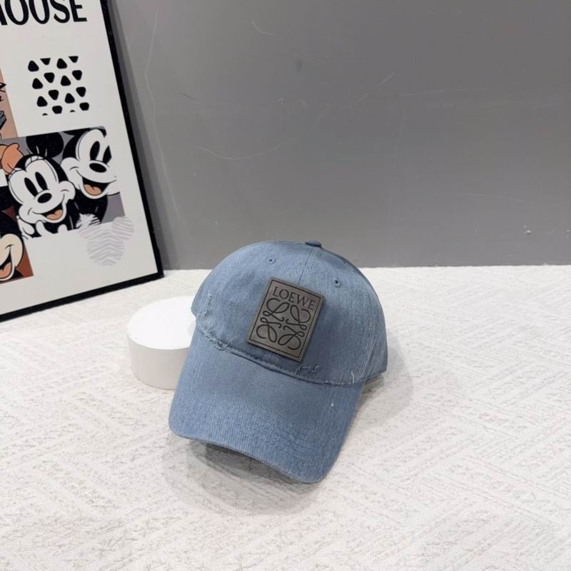 Loewe cap (208)