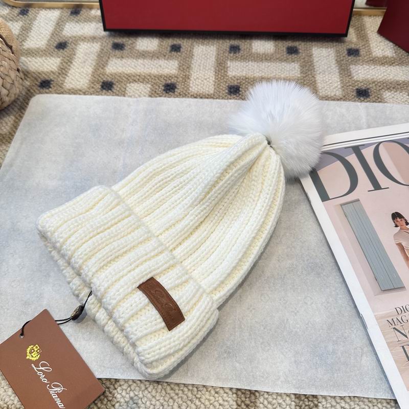 Loro Piana Hat (624)