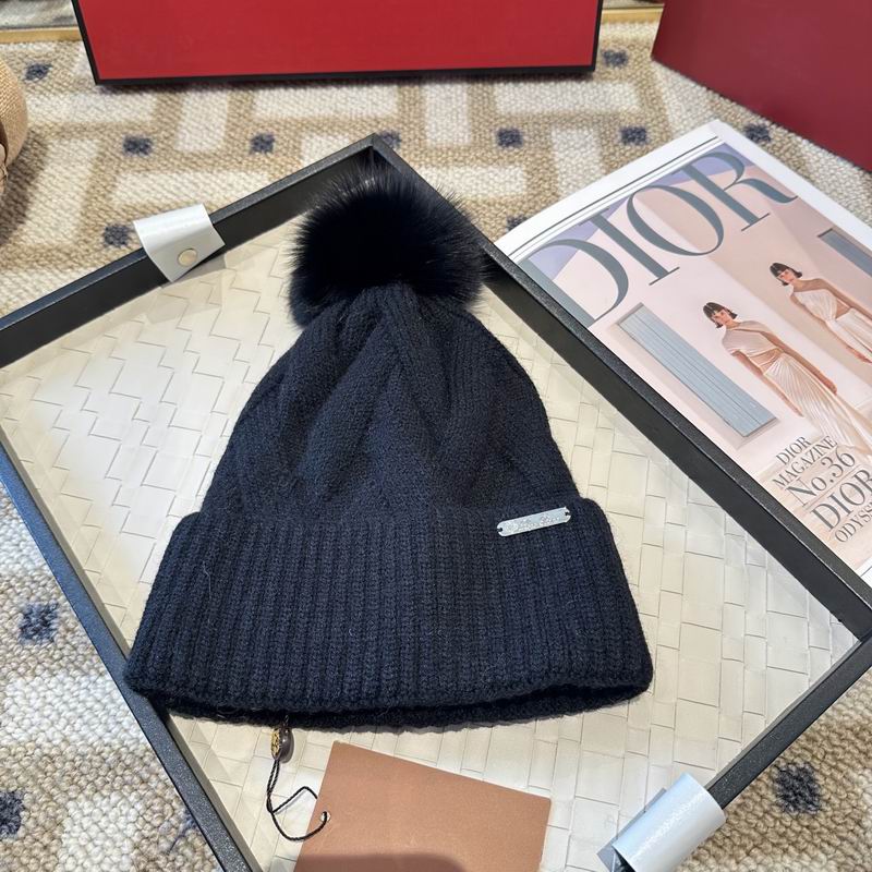 Loro Piana Hat (683)