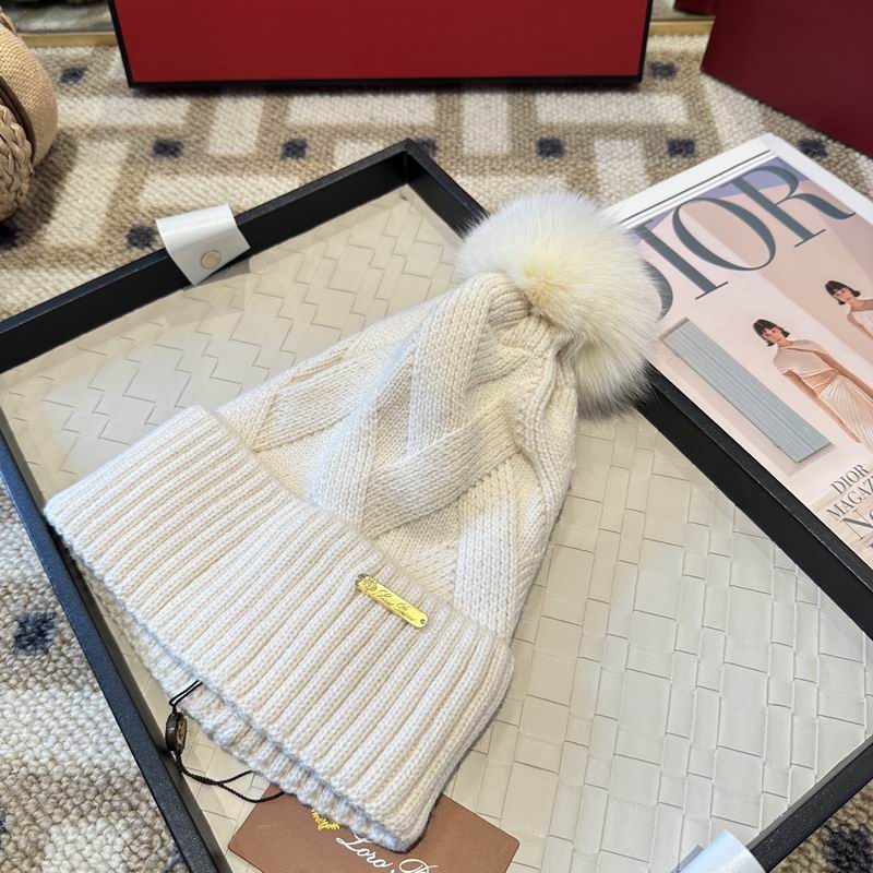 Loro Piana Hat (691)