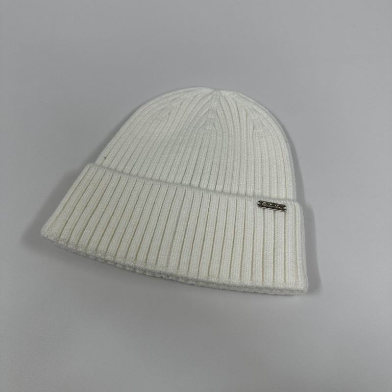 Loro Piana Hat hm (68)