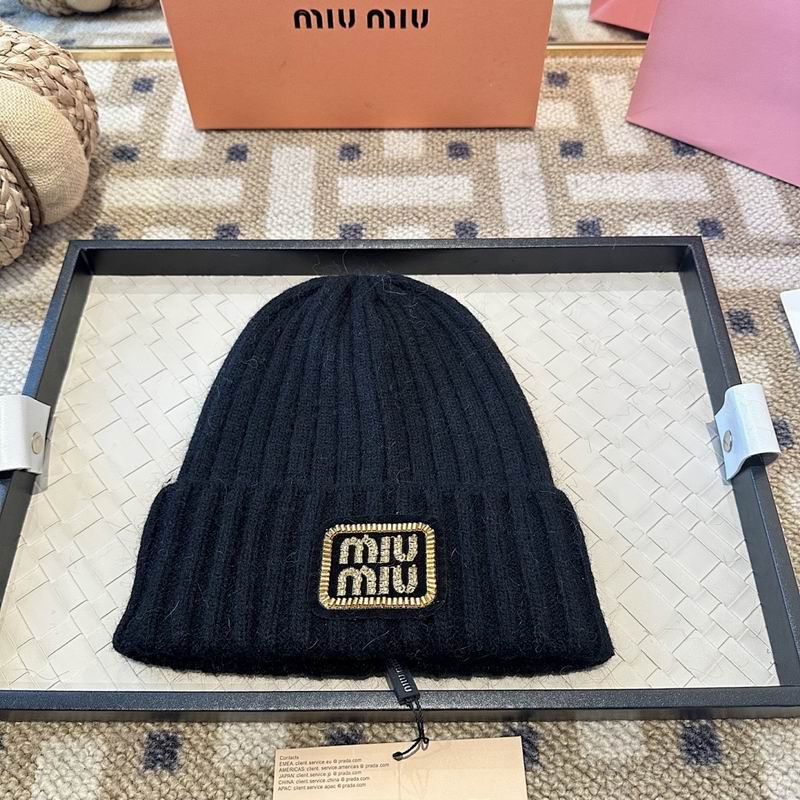 Miumiu Hat hm (46)