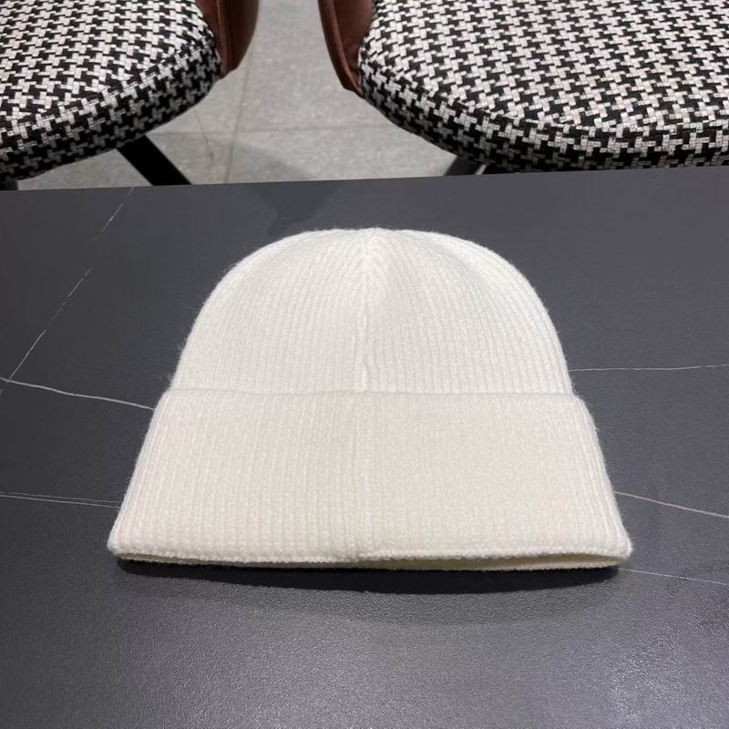 Moncler hat (352)