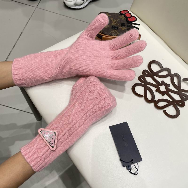 Prada Gloves 23 (19)