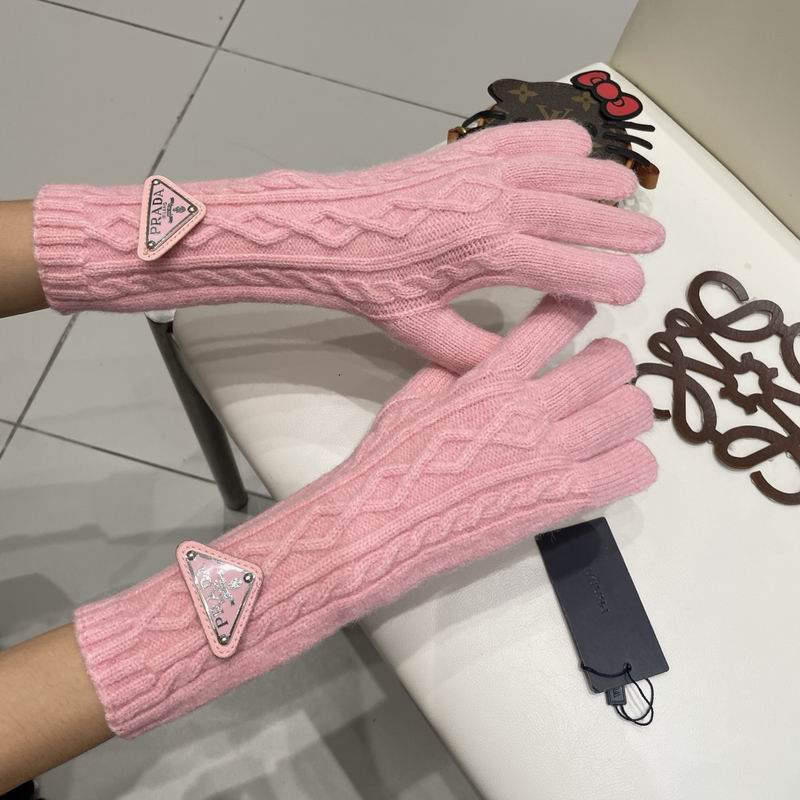 Prada Gloves 23 (21)