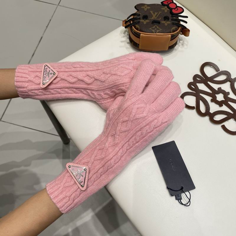 Prada Gloves 23 (22)