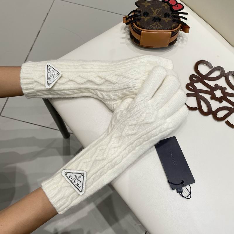 Prada Gloves 23 (31)