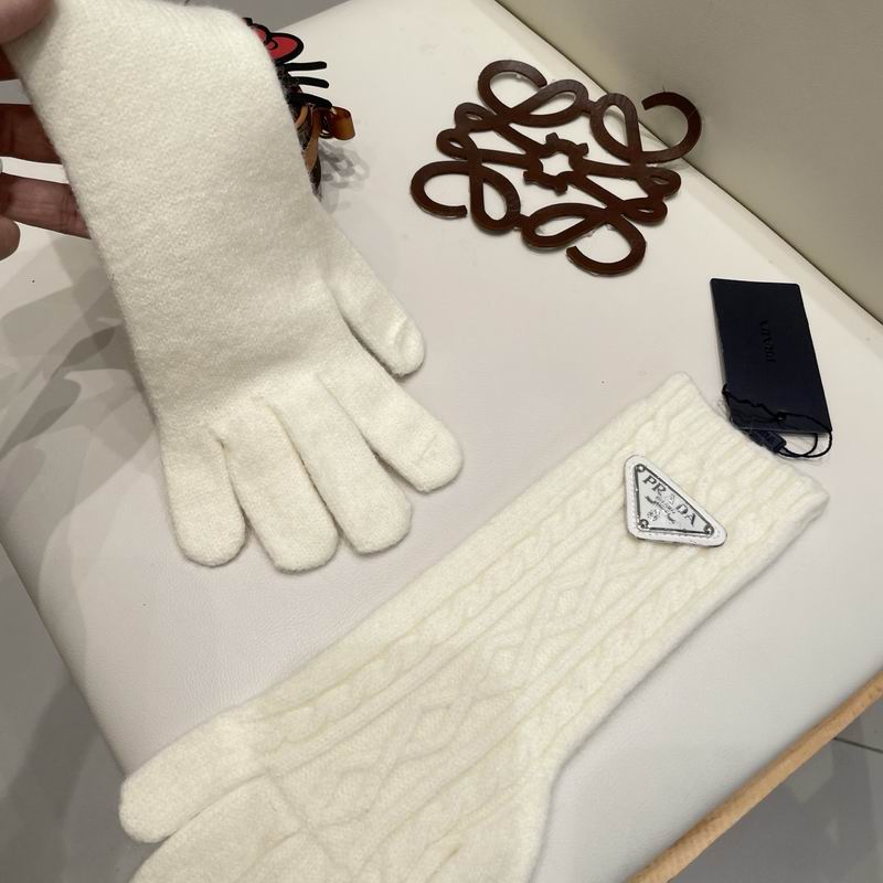 Prada Gloves 23 (33)