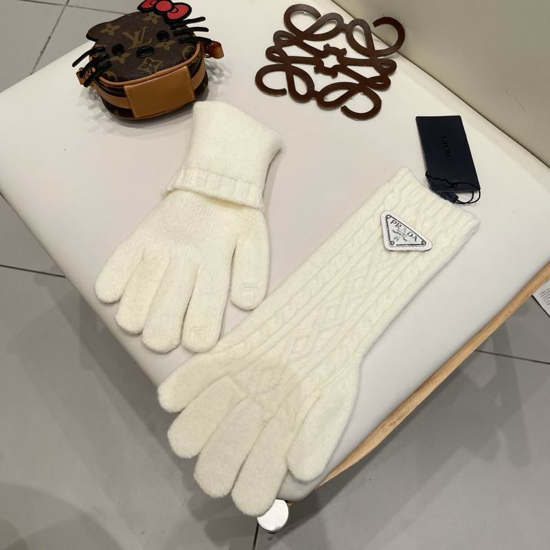 Prada Gloves 23 (34)