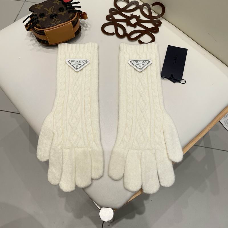Prada Gloves 23 (36)
