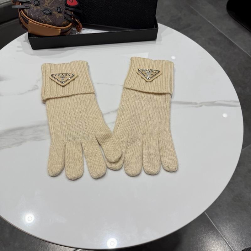 Prada Gloves 64 (17)