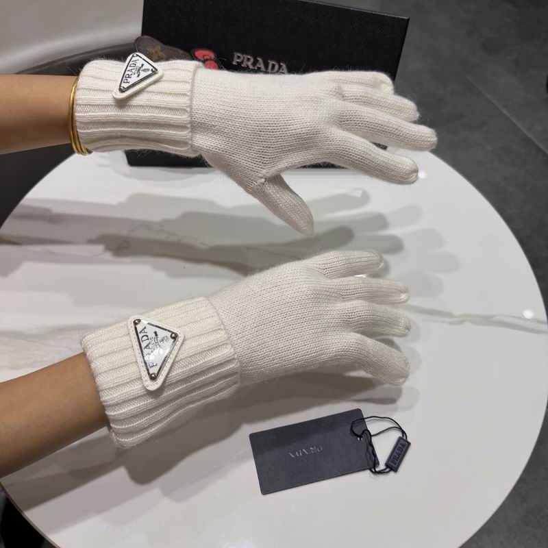 Prada Gloves 64 (20)