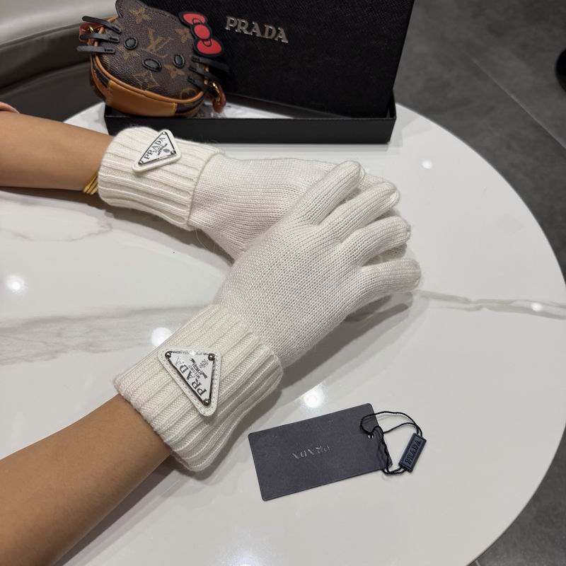 Prada Gloves 64 (21)