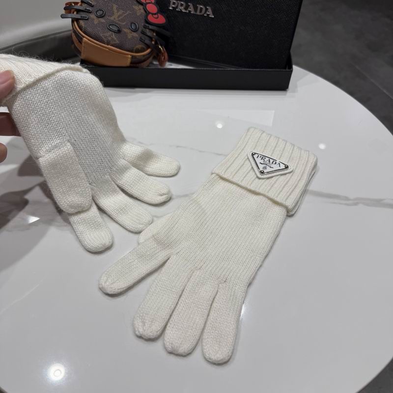 Prada Gloves 64 (23)