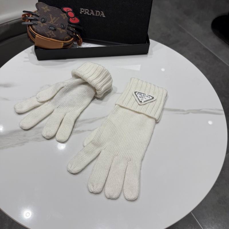 Prada Gloves 64 (24)