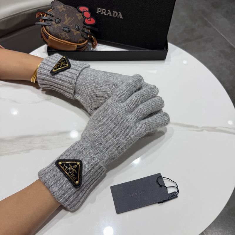 Prada Gloves 64 (35)