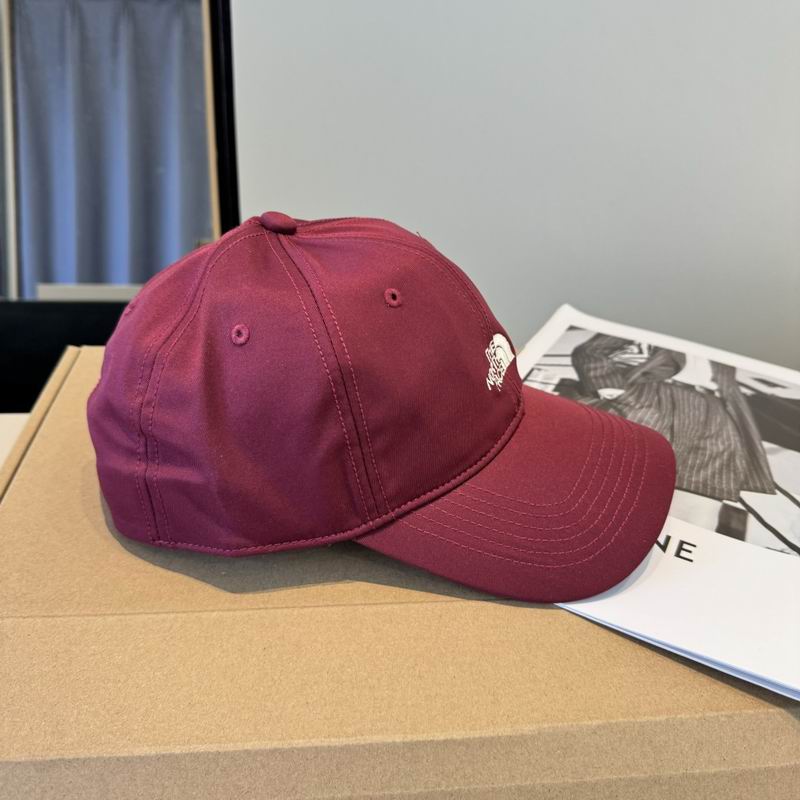 The North Face Cap (1718)