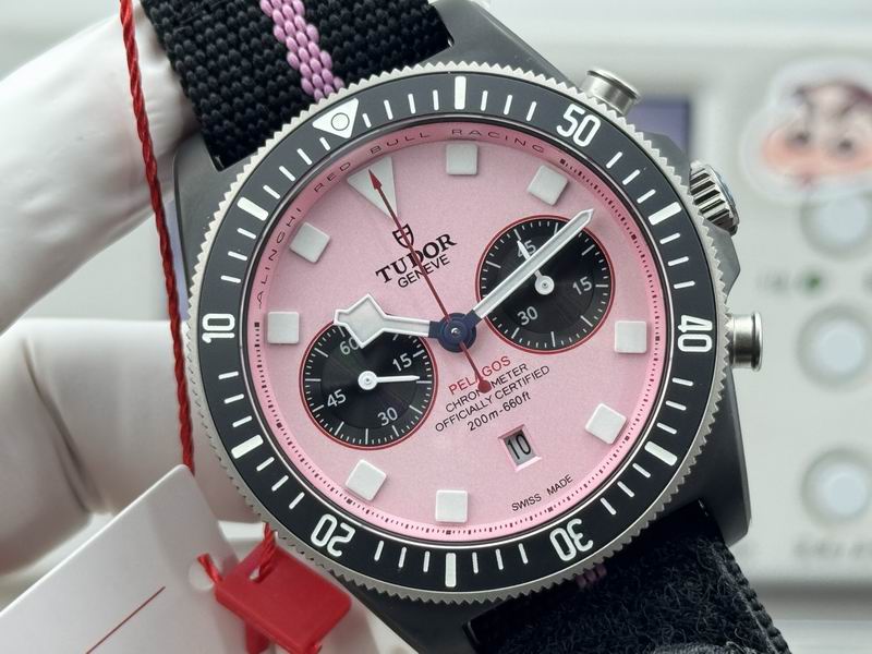 Tudor 43mm 31 (24)