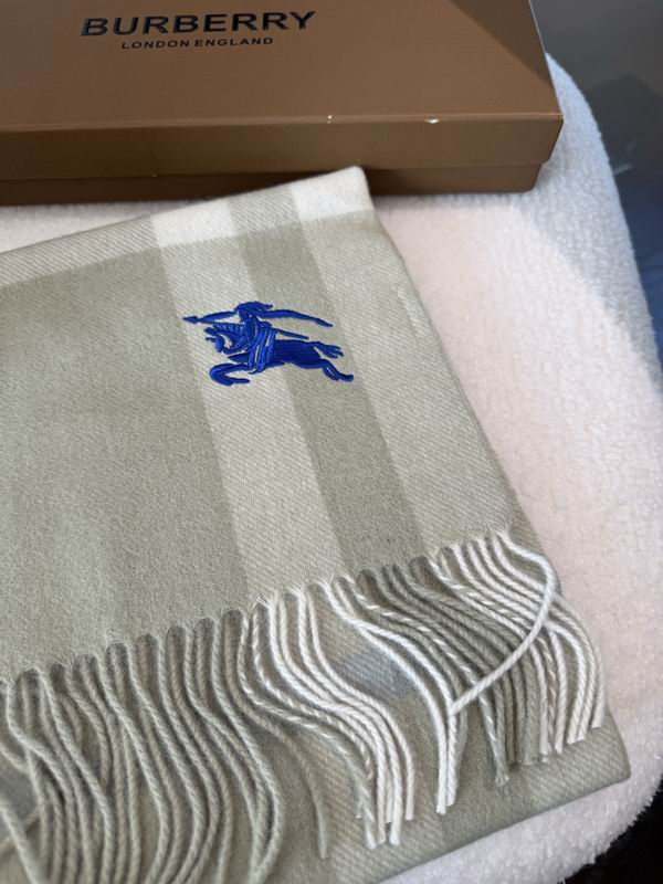 Burberry Scarf 30X180cm  E01 (10)