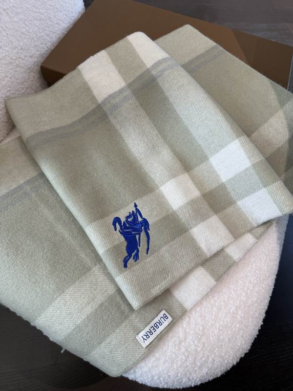 Burberry Scarf 30X180cm  E01 (11)
