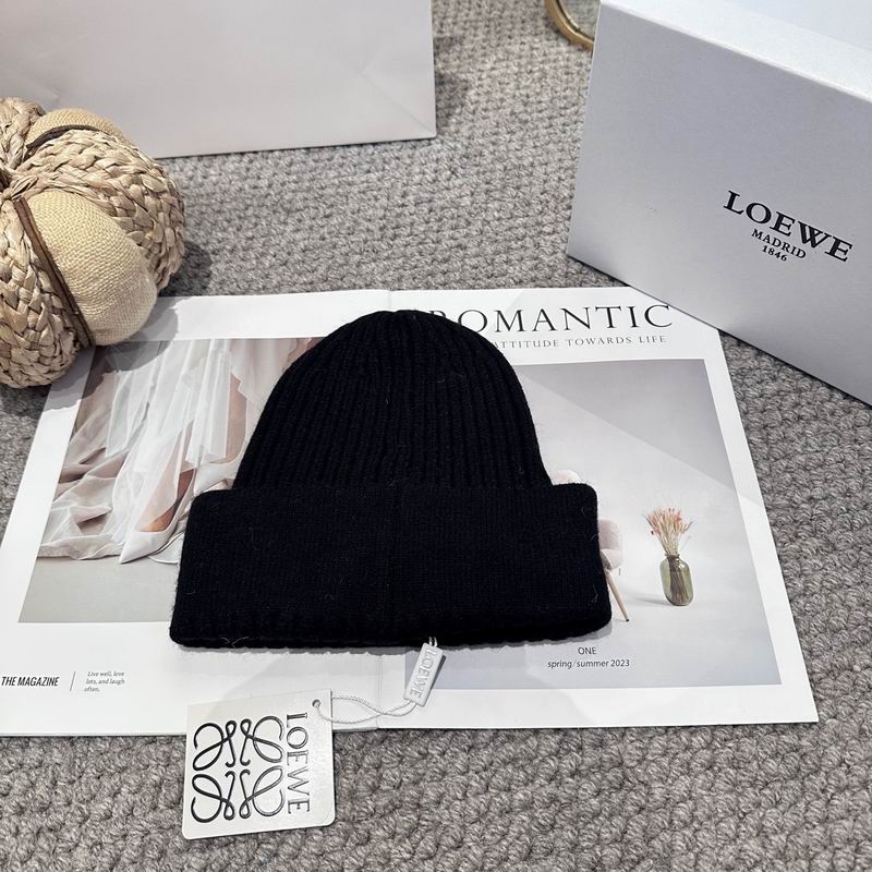 Loewe hat (2083)