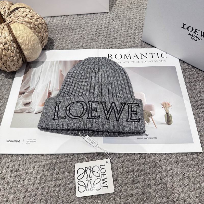 Loewe hat (2118)