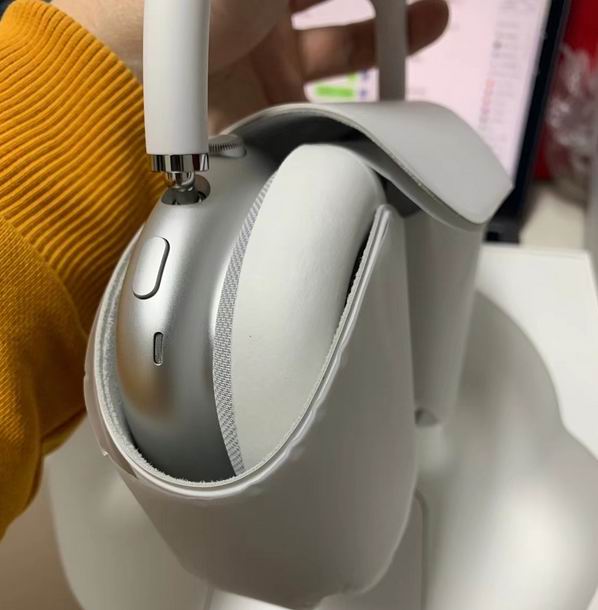 Air Pods MaX     (9)
