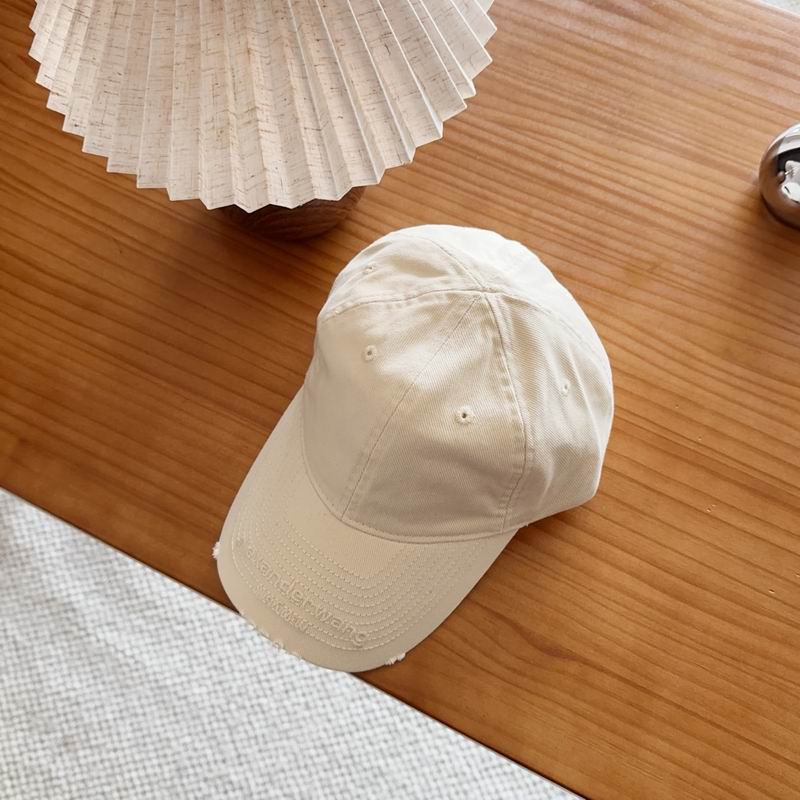 Alexander Wang Cap dx (765)