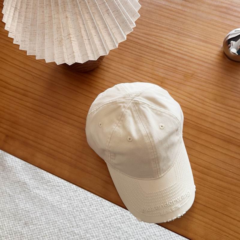 Alexander Wang Cap dx (766)
