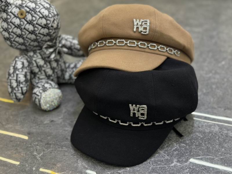 Alexander Wang cap dx (18)
