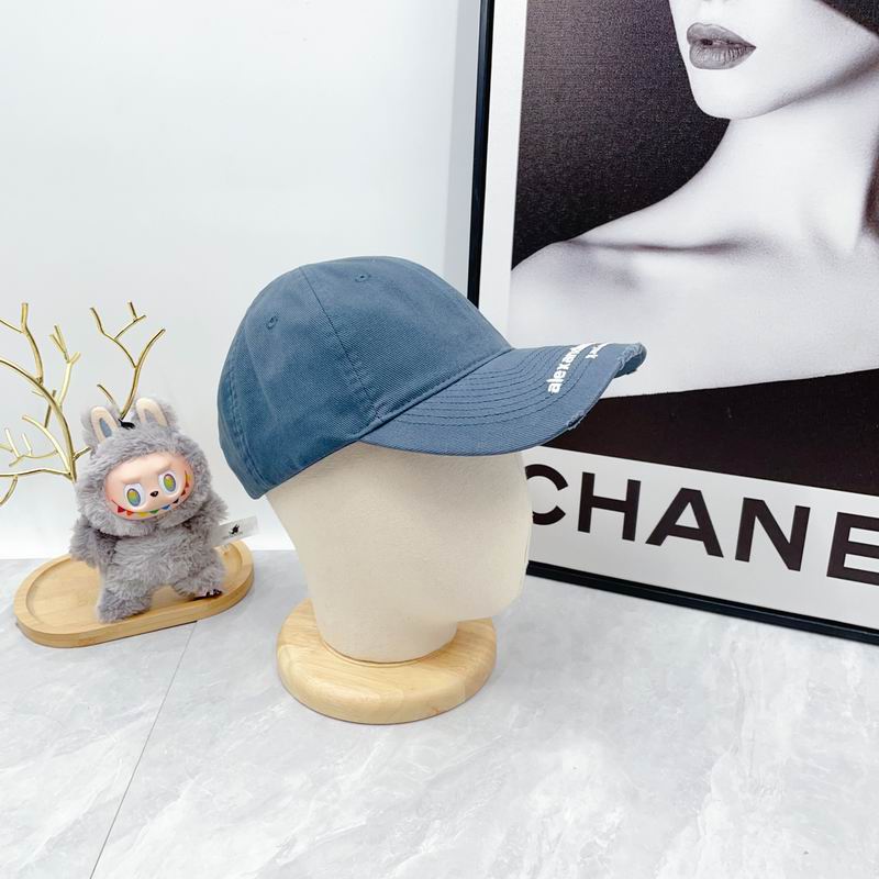 Alexander Wang cap dx (5798)