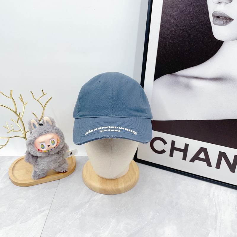 Alexander Wang cap dx (5799)