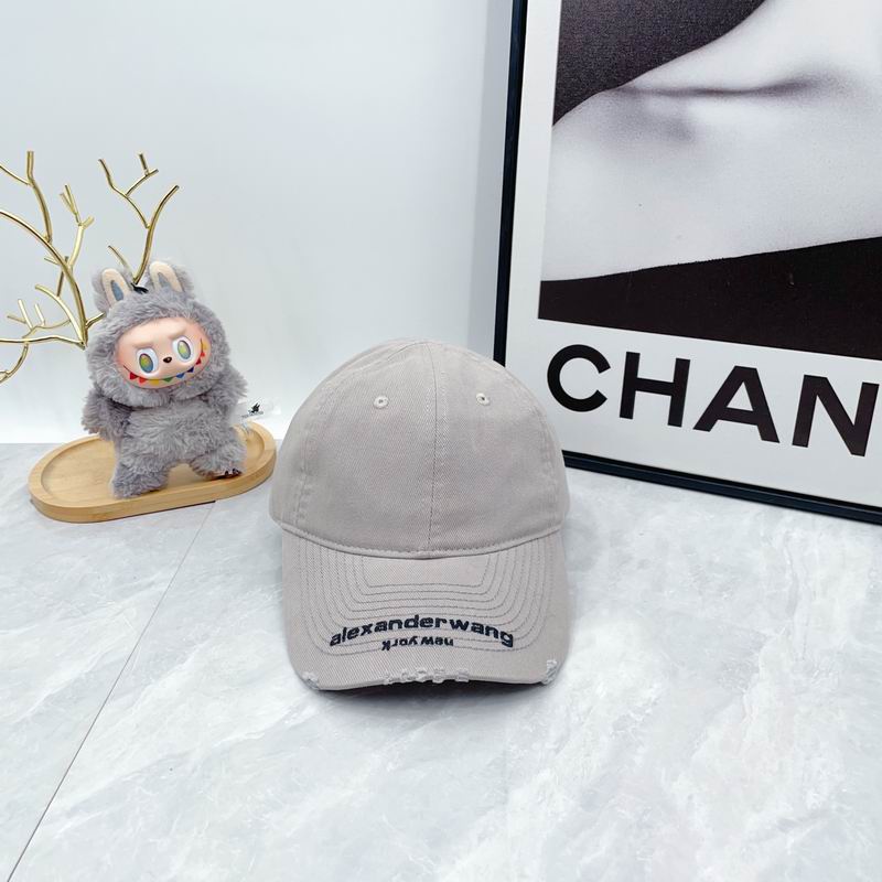 Alexander Wang cap dx (5813)