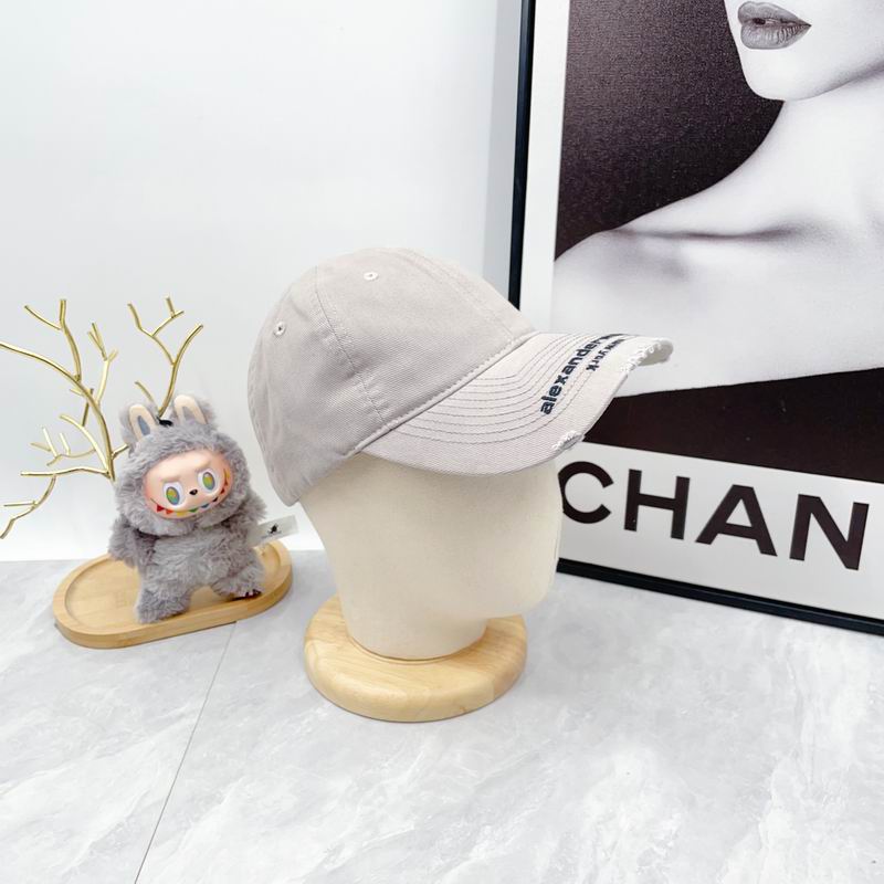 Alexander Wang cap dx (5816)