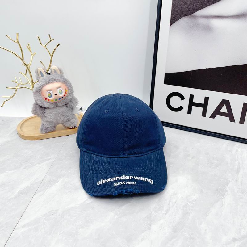 Alexander Wang cap dx (5822)