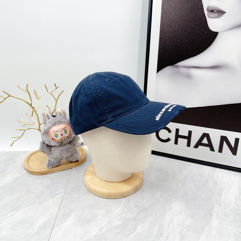 Alexander Wang cap dx (5824)