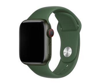 Apple 7 watches  (40)