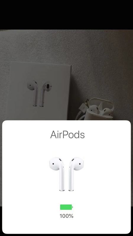 Apple Airpods 2代   (7)