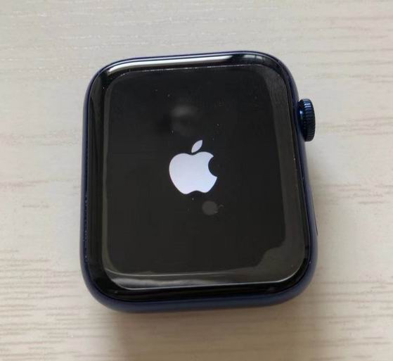 Apple Watch 6    (1)