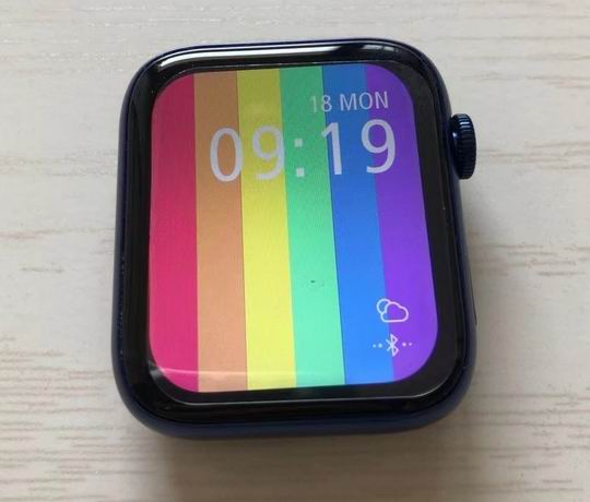 Apple Watch 6    (3)