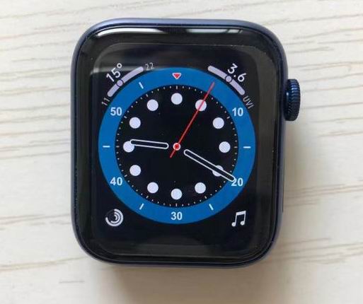 Apple Watch 6    (4)